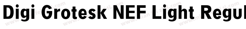Digi Grotesk NEF Light Regular字体转换